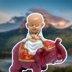 Monge Buda no Elefante